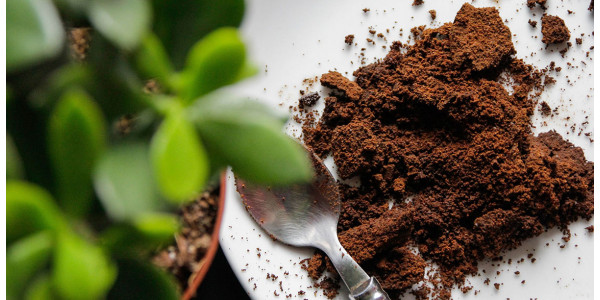 Was kann man mit benutztem Kaffee machen? Interessante Tipps.