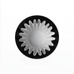 Varia FLO 55 – 21 GSM FAST-Papierfilter, 100 Stück